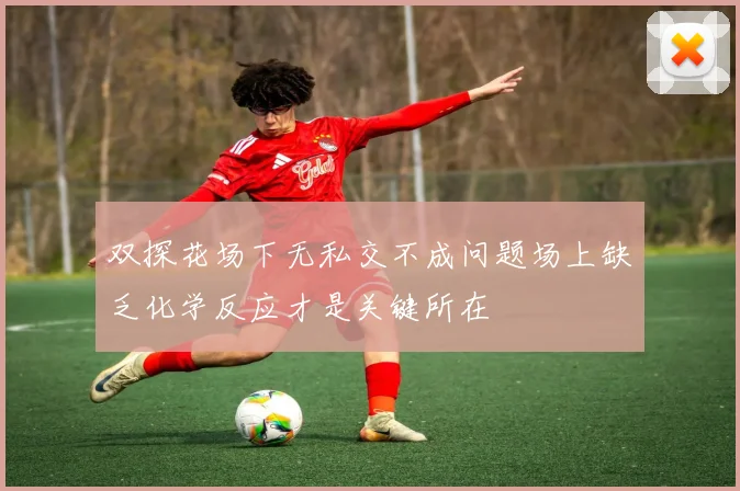 双探花场下无私交不成问题场上缺乏化学反应才是关键所在