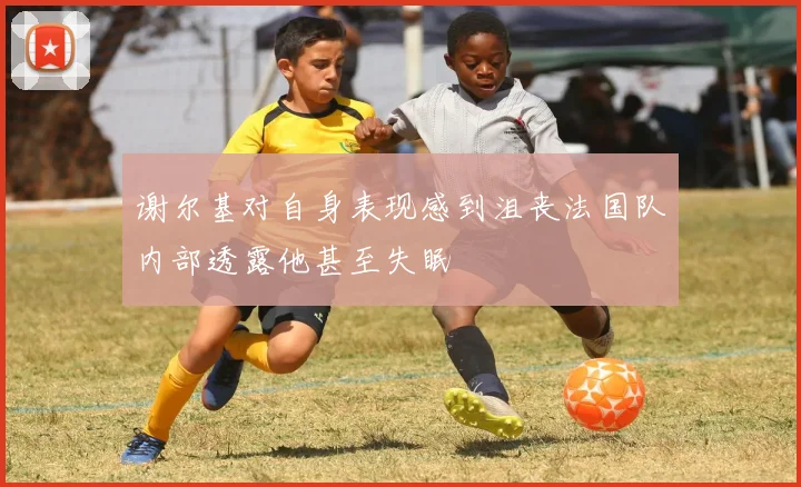 谢尔基对自身表现感到沮丧法国队内部透露他甚至失眠
